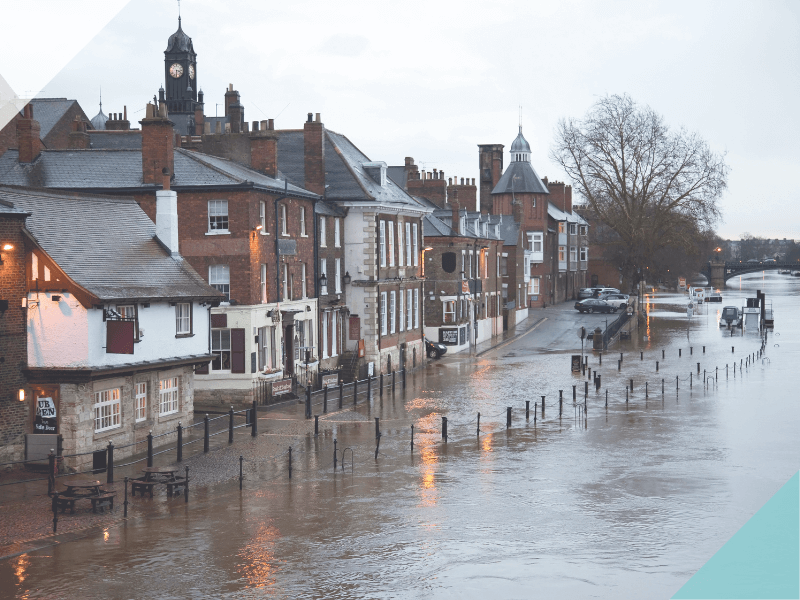 Flood searches and protecting your property