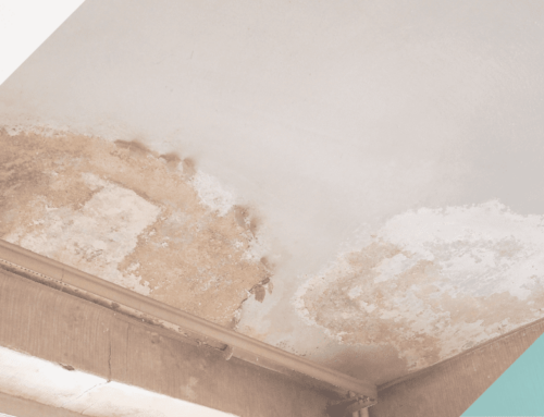 Damp in a rental property: who is responsible?